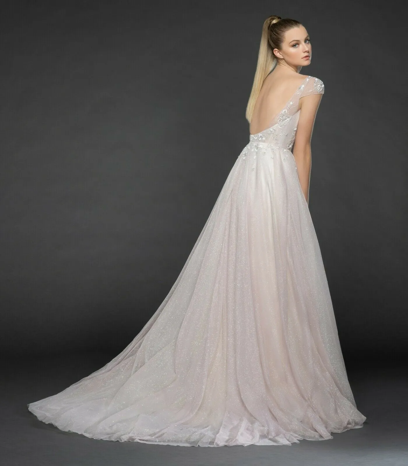 Hayley Paige Tulle 1861 Amour A-line Gown Glitter Sequin Crystal Wedding