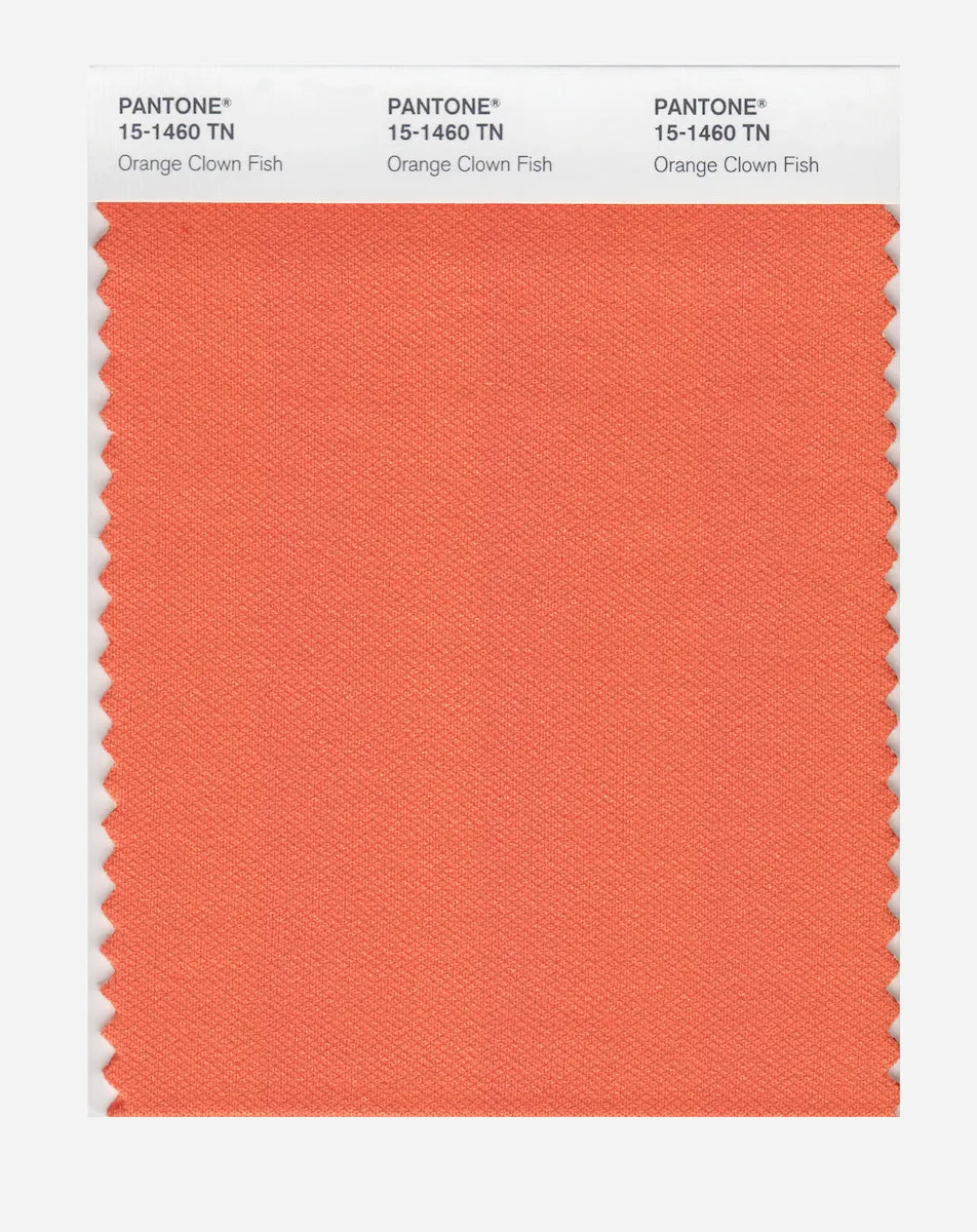 Pantone Nylon Brights Swatch Card (Orange Clown Fish) - Vibrant and Durable for Optimal Color Selection