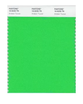 Pantone Nylon Brights Swatch Card 16-6230 TCX (Andean Toucan)