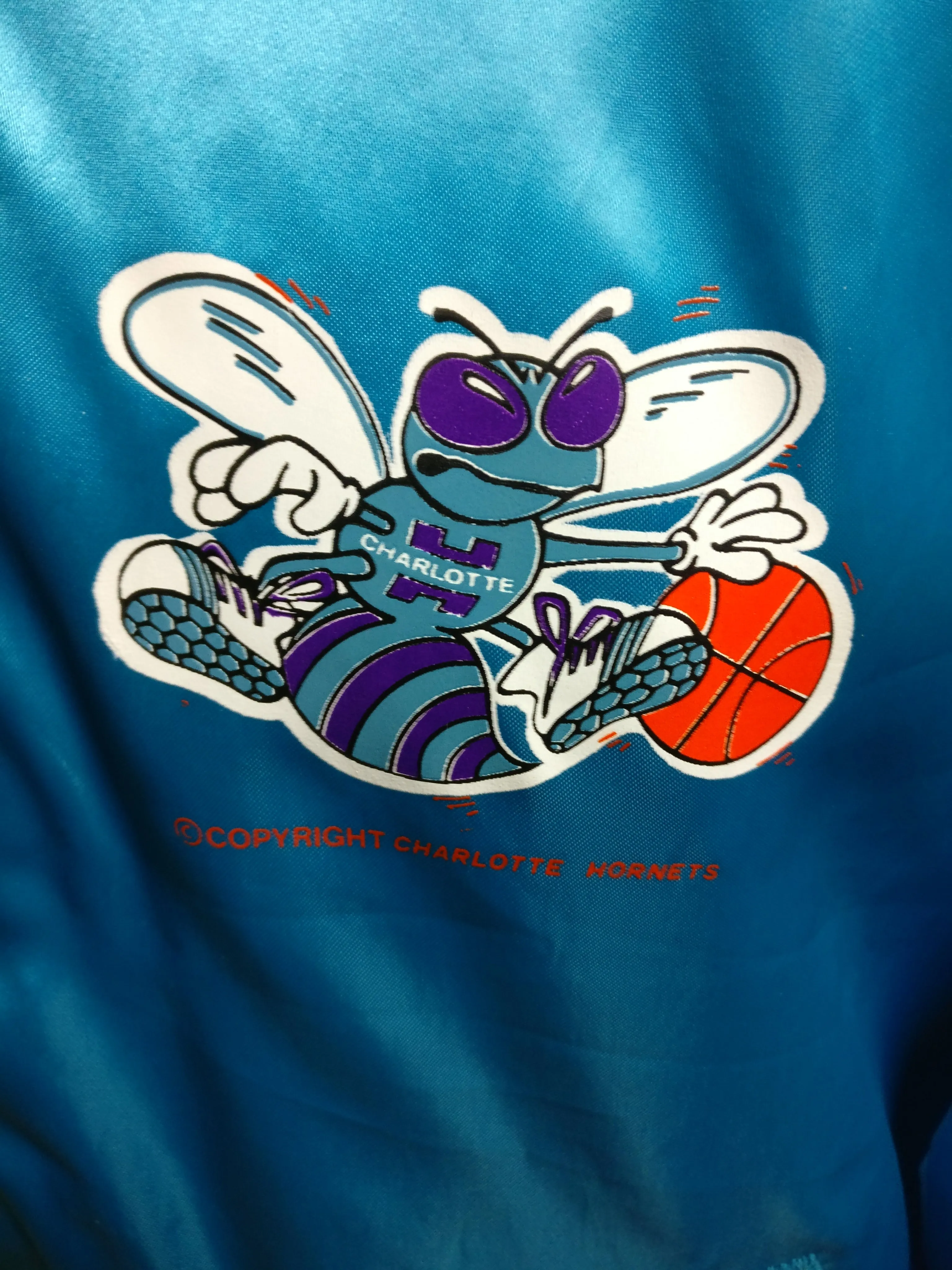 Vintage 80s CHARLOTTE HORNETS NBA Back Print Chalk Line Nylon Jacket L